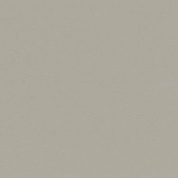 Beige Selenite 993