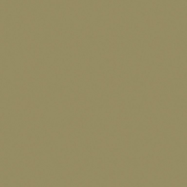 Agave 243