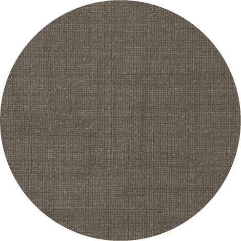 Visone